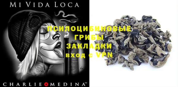 прущие грибы Мегион