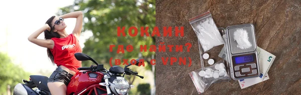 прущие грибы Мегион