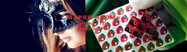 прущие грибы Мегион
