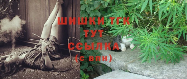 прущие грибы Мегион