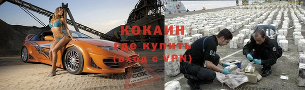 прущие грибы Мегион