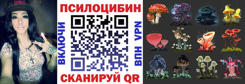 Псилоцибиновые грибы MAGIC MUSHROOMS  Купить закладки  Сосенский 